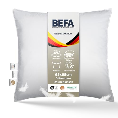 BEFA NATUR Fabricado en Alemania, almohada de 3 cámaras de 65 x 65 cm, 90% plumón y 10% plumas, apto para alérgicos (Nomite), certificado Öko-Text 100 clase 1, norma EN Standard 12934, Downpass