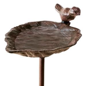 TOPANBIETER 999 Vogelbad, waterbad voor wilde vogels met grondpen van gietijzer, weerbestendig en vorstbestendig, voor vogels, in elke tuin te gebruiken