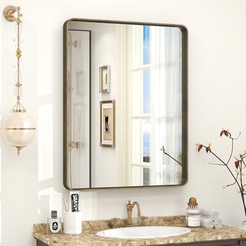 CHARMOR 24x30 Inch Brushed Bronze Bathroom Mirror for Wall