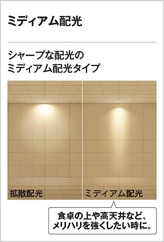 Amazon.co.jp: オーデリック LEDダウンライト S形 高演色 GX53 非調光