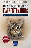 Europäisch Kurzhaar Katzentraining - Ratgeber zum Trainieren einer Katze der Europäisch Kurzhaar Rasse: Katzenbeschäftigung – Jagdspiele – Clicker-Training – Trainingsaufbau