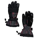 WIND- und SCHNEEFEST Spyder OVERWEB Winter Jungen Ski Handschuhe schwarz - M