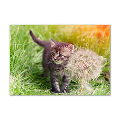 Fond de hotte en verre gris 100x70 Tulup | Chaton au chalumeau pour cuisine