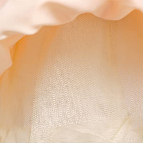 Nssmwttc Toddler Embroidery Flower Ball Gown Dresses Graduation Frocks Girl Wedding Prom Tutu Christmas Dress (5017 Champagne,150) #TOP6