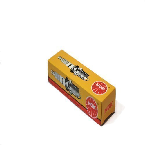 NGK 5531 Standard Spark Plug for 33-827858Q 4125 810 92070-1138 94700-00375 94701-00375 94703-00375 98069-56916 RA8HC X20EPR-U9 Ignition Wire Secondary