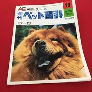 朝日世界動物百科 全13巻 セット 朝日世界動物百科 全13巻 セット
