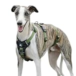 Paworld Escape Proof Dog Harness, Anti Pull Dog Harness, 3 Point Greyhound Harness, Adjustable No Escape Running Vest with Front Clip for Whippet Medium Large Breeds Training (Army Green, M)