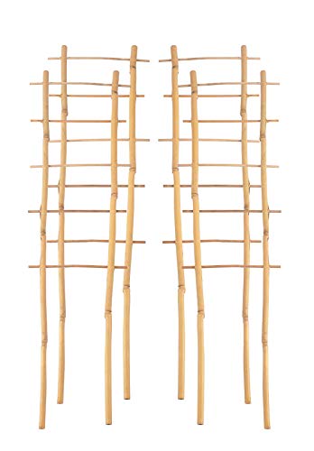 Preisvergleich Produktbild Grüner Jan 4X Bambusspalier 60cm Rankhilfe Blumenstütze Rankgitter Kletterhilfe Spalier