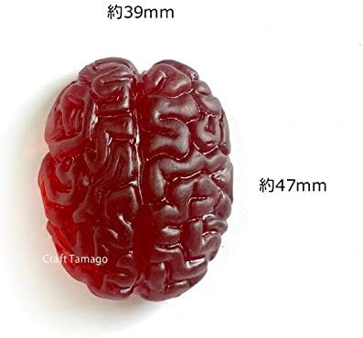 Amazon Co Jp Craft Tamago 1個 シリコンモールド 脳 Hs02 ホビー