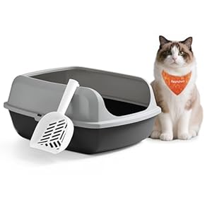 Feandrea Katzenklo mit hohen Seitenwänden, XXL, offene Katzentoilette, mit Schaufel, für Kätzchen und große Katzen, schiefergrau PPT010GN01