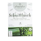 Plantaluz Schnittlauch Bio Saatgut Nelly – Mehrjährig – Kräutersamen
