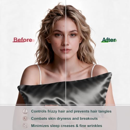 Image of LYSHIN Silk Pillow Cases 2 Pack Standard Size with Zipper, Dark Grey | 19 Momme Mulberry Silk Pillowcase for Skin and Hair, Anti-Acne, Hypoallergenic, Cooling, Beauty Sleep, Gifts for Women