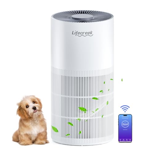 Lifecreek Air Purifier