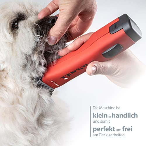 EHASO AESCULAP Profi Hundeschermaschine Set Durati Speed mit Scherk. + Hundenapf + Aufschiebekammset (Rot)