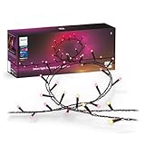Philips Hue Festavia Lichterkette, White & Color Ambiance, dimmbar, 500 Mini LEDs, 40 m Länge,...