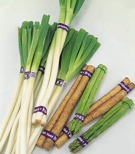 Amazon | マックス 野菜結束機 おびまる HT-M2 手動式 カ施 代不 | 荷