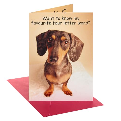 UK Greetings Funny Birthday Card - Birthday Card for Him - Funny Dog - Birthday Card for Her - Birthday Card Friend - Humorous Card - Funny Birthday Card Friend Adult 788327-0-1