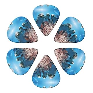 Funny Dolphin Looking At You Lot de 6 médiators pour guitare acoustique, guitare électrique, basse, ukulélé – Fin, moyen… - Les Beatles, Paul McCartney, John Lennon, RIngo Starr, George Harrison Funny Dolphin Looking At You Lot de 6 médiators pour guitare acoustique, guitare électrique, basse, ukulélé – Fin, moyen… – Image 4