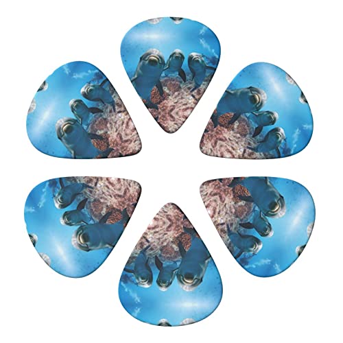 Funny Dolphin Looking At You Lot de 6 médiators pour guitare acoustique, guitare électrique, basse, ukulélé – Fin, moyen… - Les Beatles, Paul McCartney, John Lennon, RIngo Starr, George Harrison Funny Dolphin Looking At You Lot de 6 médiators pour guitare acoustique, guitare électrique, basse, ukulélé – Fin, moyen… – Image 5