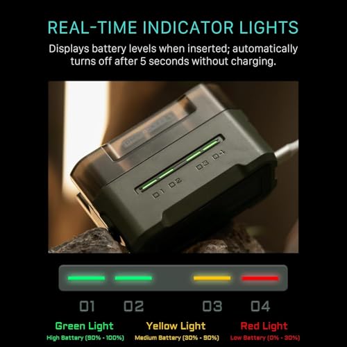 DMW-BLK22 Ersatzakku- und Ladegerät-Set, 2er-Pack 2400-mAh-Akkus und Vierkanal-USB-C-PD-Schnellladegerät, kompatibel mit Panasonic Lumix S5, S5II, S5M2, S5M2X, S1RII, GH6, GH5II, G9M2 TBC-BLK22-A-GN