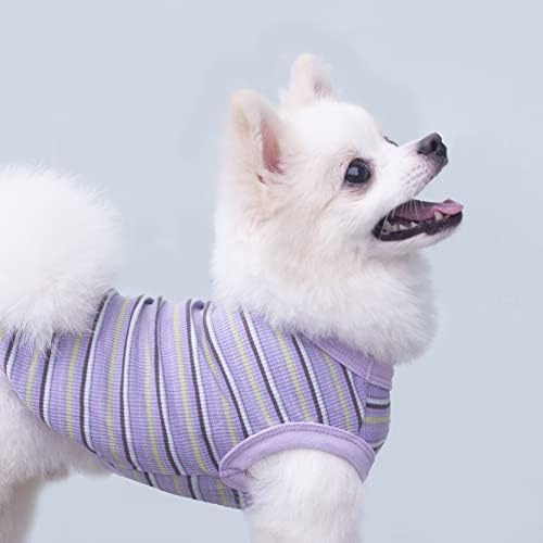 Striped Teacup Dog T-Shirts for Small Dogs & Cats - X-Small