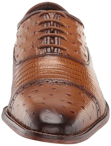 STACY ADAMS Men's Rodano Cap Toe Oxford2