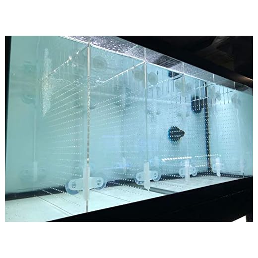 Acrylic Aquarium Divider Kit 5.5 /10 / 20L / 20H / 29 / 40B / 55 / 75 / 125gal Fish Tank with Suction Cups