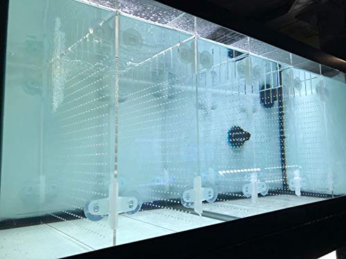 Image of Acrylic Aquarium Divider Kit 5.5 /10 / 20L / 20H / 29 / 40B / 55 /75 / 125gal Fish Tank with Suction Cups