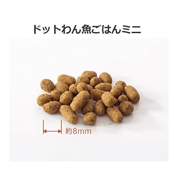 Amazon.co.jp: [ ドットわん 公式 ] ドッグフード ドットわん 「 ミニ