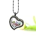 JOLIN 24Pcs 5mm Cubic Zirconia CZ Heart Birthstones 12 Month Charms Floating Bracelets Living Memory Locket Necklace Pendant