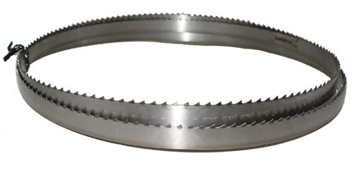 Magnate M65T58T3 Meat Bandsaw Blade, 65" Long - 5/8" Width; 3 Tooth; 0.022" Thickness; 1 Count/Pack #1