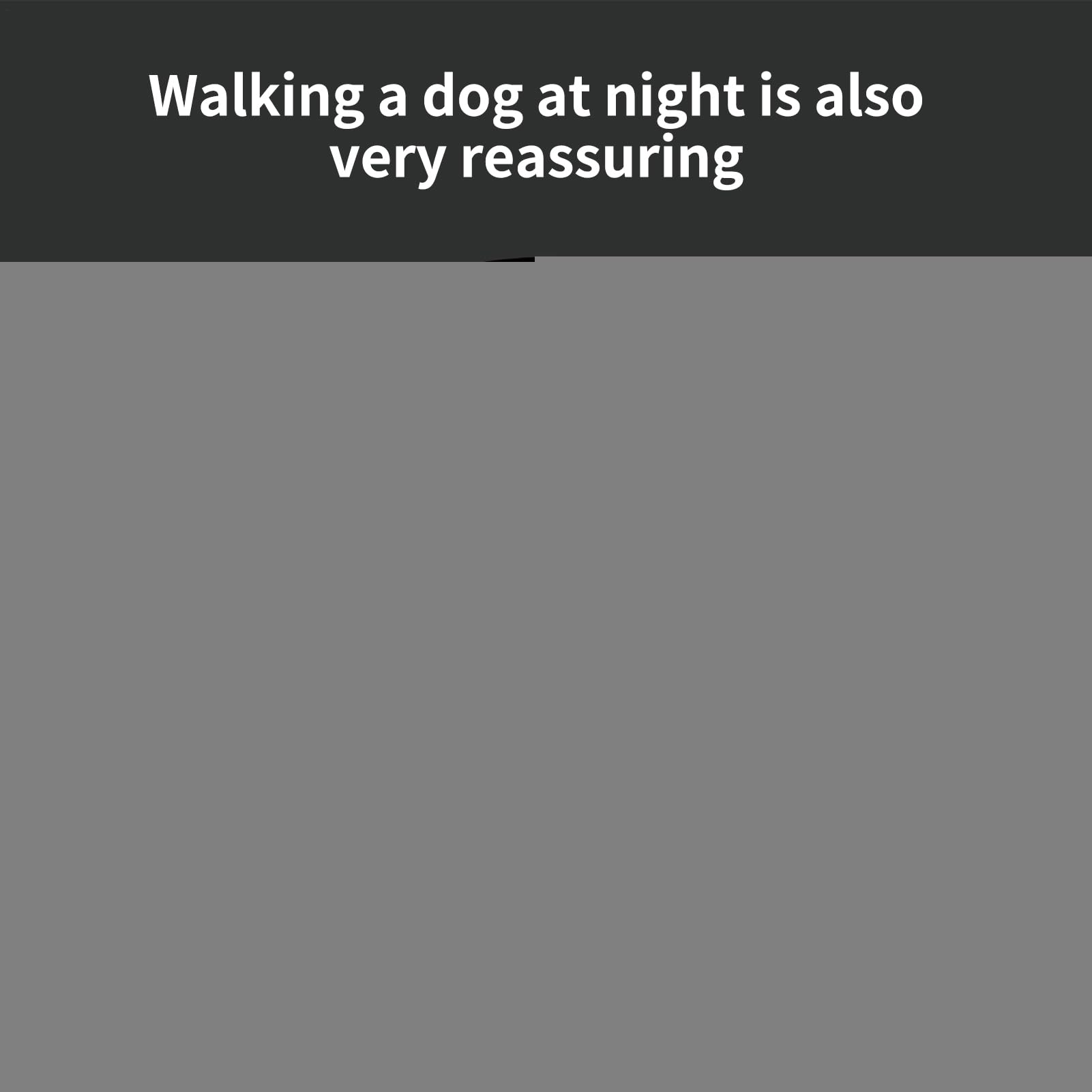 Chaussures pour Chien avec Bretelles Protection imperméable antidérapante | Guêtres Antidérapantes Réglables avec Bande Réfléchissante Pour pattes, pluie, neige, hiver, promenades extérieures,