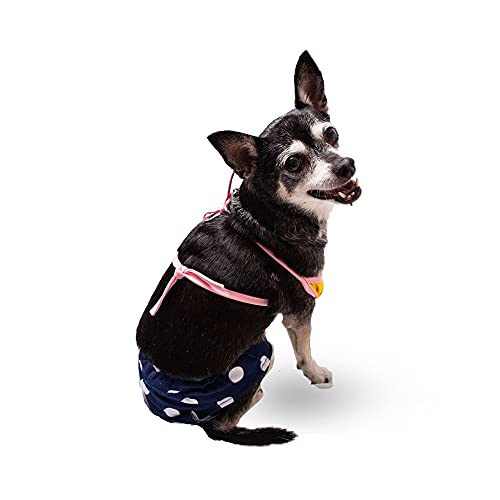 Midlee Yellow & Blue Polka Dot Dog Bikini (Medium) #TOP4