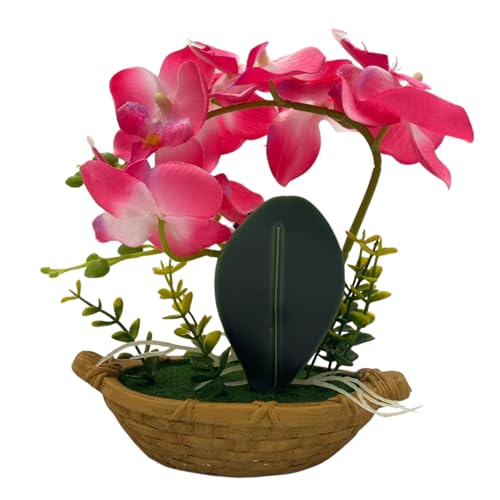 [S.T.S.G] Ӓ  lHϗtA CeA u IuWF  tFCN v[g J^ K^   d  ͂Ȃ ([YsN)