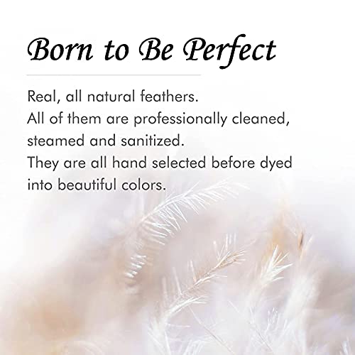 Tobeautypro Peacock Feather 25Pcs 10-12Inch（25-30Cm）Natural Peacock Eye Feather Plume For Diy Craft，Home Wedding Christmas Halloween Party Costume Decoration，Dress Up Carnival Parade Festival #TOP6