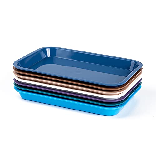 Easyinsmile Autoclavable Dental Instrument Tray Set-Up Procedure Trays Plastic 2Pack 9.45 X 6.25 Inches (Blue) #TOP3