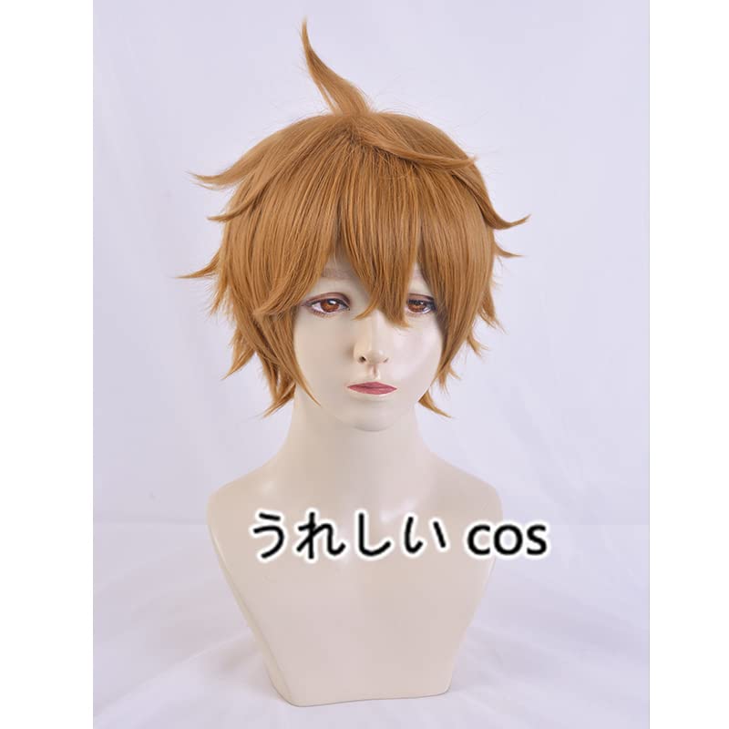 Amazon.co.jp: 即納原神(Genshin)タルタリヤ 耐熱コスプレウィッグ
