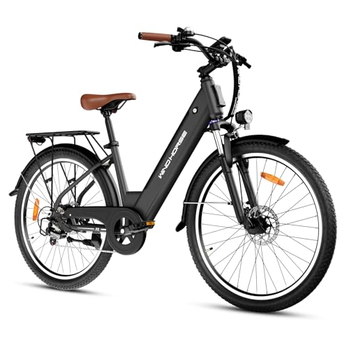 Windhorse 26 Electric Bike with 750W Motor