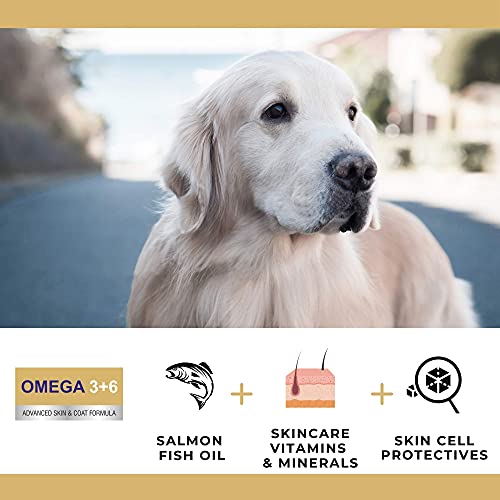 PET360-Omega-36-Concentrated-Salmon-Fish-Oil-with-Vitamins-Minerals-Taurine-Advanced-Skin-Coat-Formula-for-Dogs-Cats-200-ml