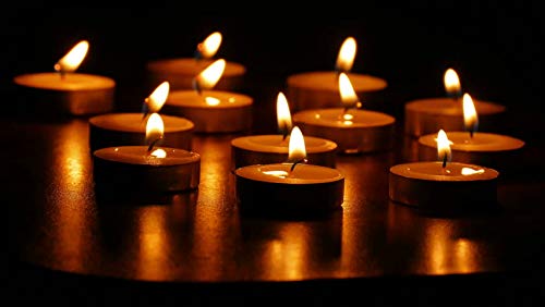 8 Hour Tea Lights Candles (50 Pack) - White Long Lasting Tea Lights - European Made Smokeless & Unscented Candles - 3.8 X 2.3 Cm, 8Hr #TOP3