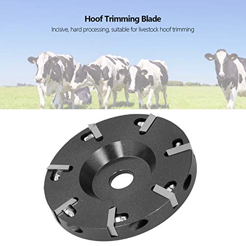 Placa de Corte de Casco, Corte, Ferramenta de Corte de Casco Disco de Lâmina de Corte de Casco para