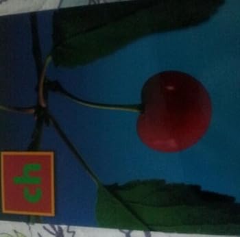 Paperback Steck-Vaughn Build-A-Word: Student Book Grades K - 2 Digraph Ch Book