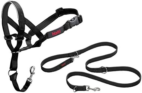 halti leash
