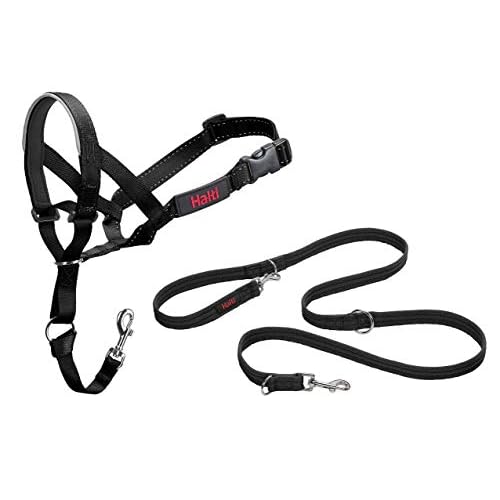 DD Hundegeschirr mit Leine, Einstellbar Hund Weste, Weiches Mesh Katzen Hunde Welpen Geschirr und Leine Set 4 Halti Halfter und Trainingsleine Kombi-Pack, stoppt Hunde auf Spaziergängen mit Halti, inklusive Haltihalfter Größe 3 und Doppelendleine