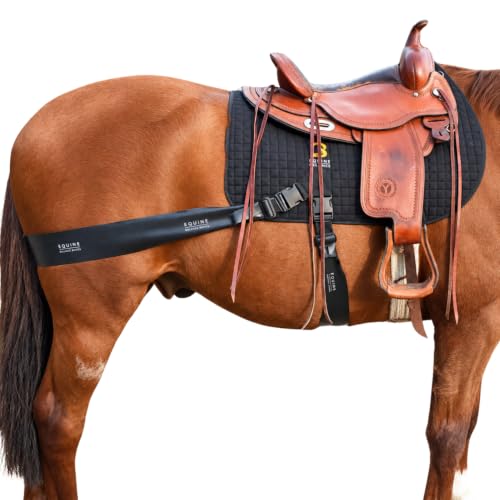 Equine Balance Bands Core Conditioning Saddle Pad & Band System