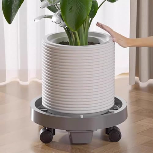 Support mobile pour pots sur le balcon et la terrasse avec bac à eau