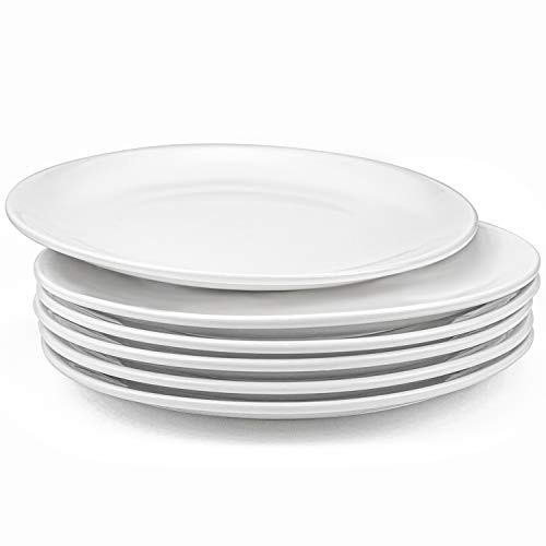 Foraineam 6 Pieces Porcelain Dinner Plates Approximate 10 Inch Round Salad Plate White Dinnerware Dish Catering Serving Plates #TOP1