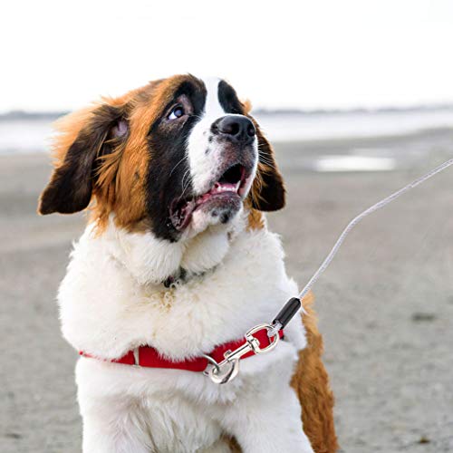 Corda de aço para cães BESPORTBLE, corda de fio de aço resistente à prova de mastigação, cabo de seg