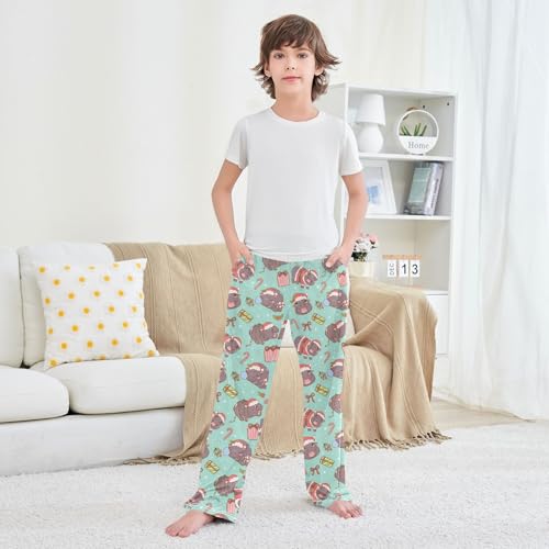 Boys' Pants Christmas Hippo Animal Candy Long Bottoms Jogger Pants Elastic Waist Trousers with Pockets S-XL3