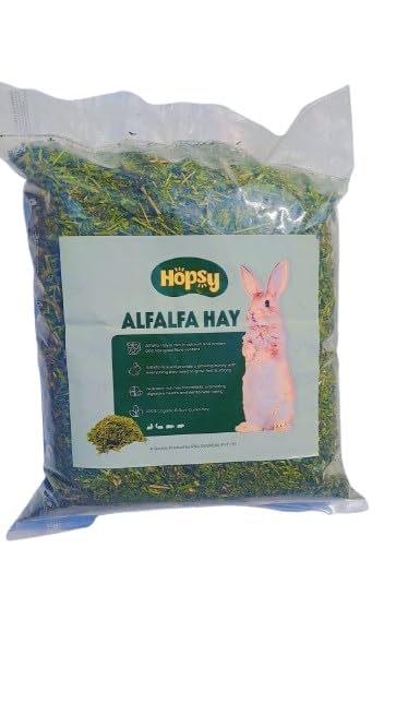 RSA's Alfalfa Hay for Rabbits, Guinea Pigs, Hamsters and Small Animals - 1 kg